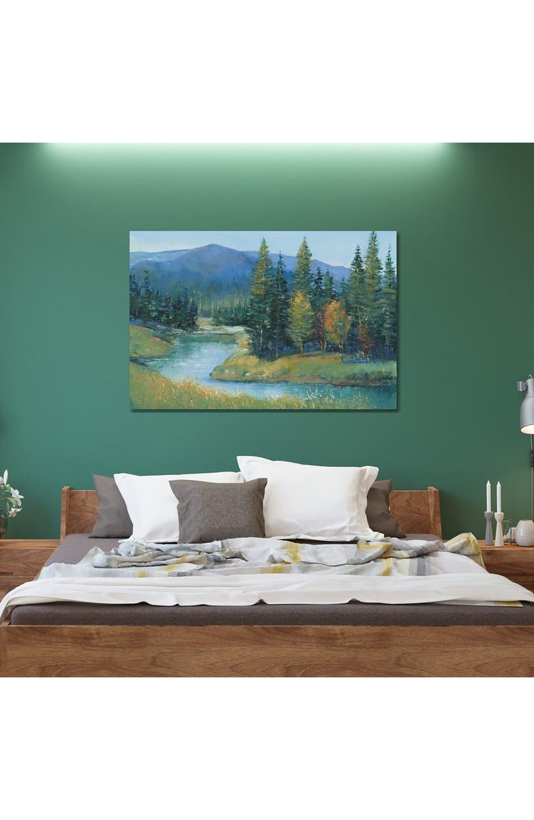 iCanvas Trout Stream II by Tim OToole Canvas Wall Art, Alternate, color, Green Mountain Valley