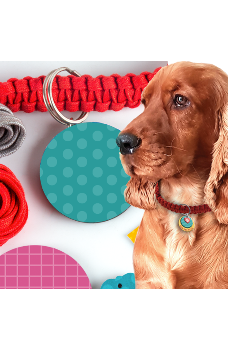 Chalk & Chuckles Pawfect gifts, Alternate, color, NO COLOR