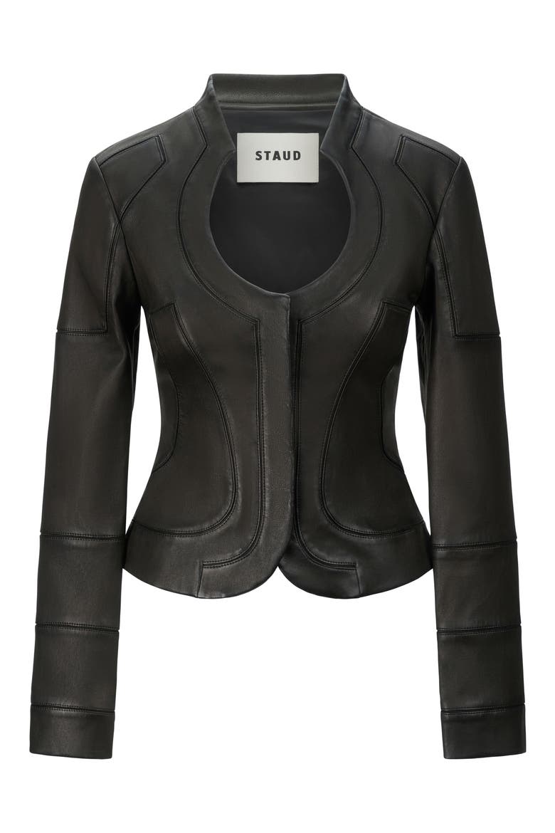 Blair Leather Jacket, Alternate, color, BLACK