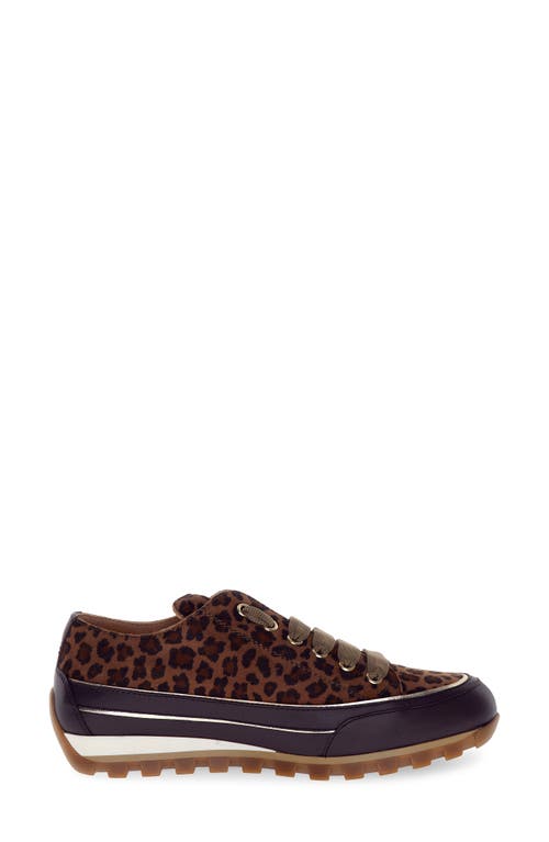 Candice Cooper Janis Strip Chic Sneaker In Multi