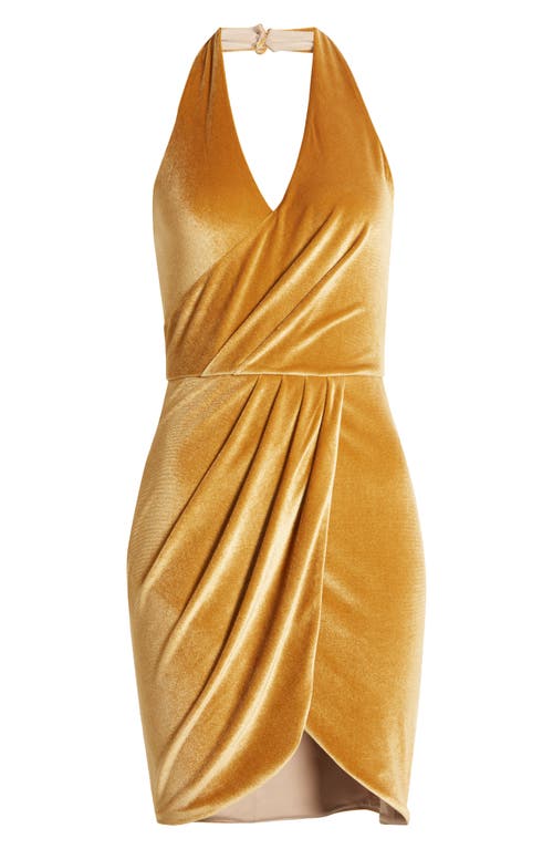 Black Halo Elaria Velvet Halter Minidress In Gold