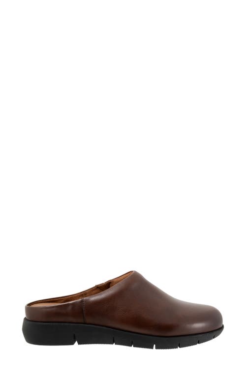 Softwalk ® Andria Mule In Dark Brown