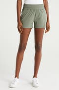 Free Fly Breeze Shorts