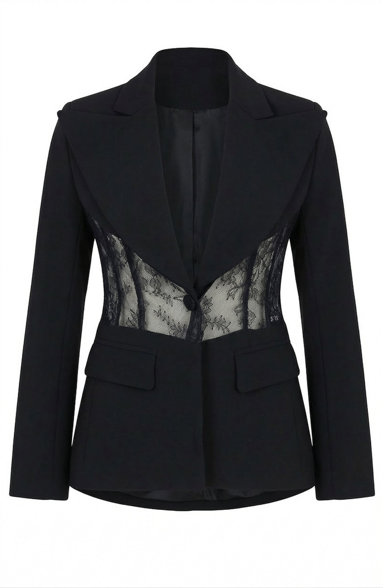 Modenaire Lace Panel Blazer, Alternate, color, Black