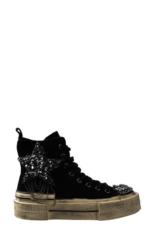Zigi Hattie Star Appliqué High Top Platform Sneaker In Black Suede
