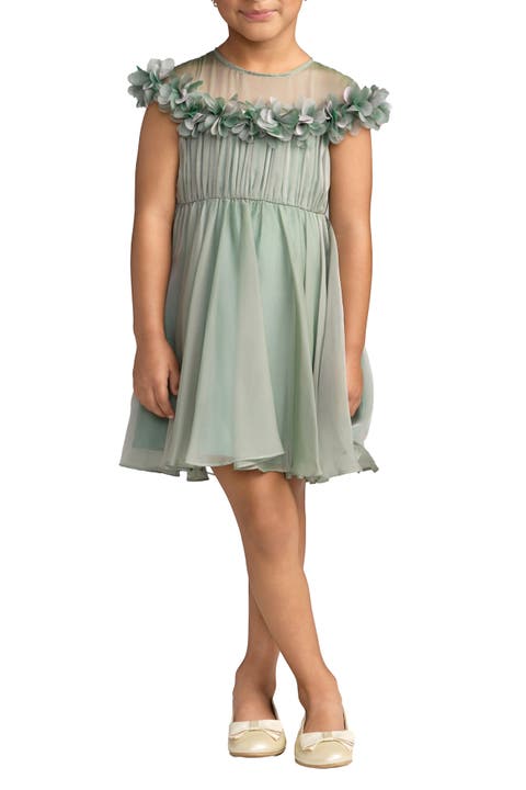 Girls Floral Applique Chiffon A-Line Dress