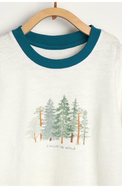 Babycottons T-shirt Taylor Explorer In Multi
