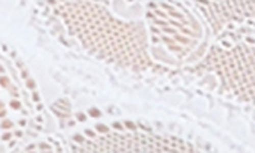 Papinelle Lace Bralette