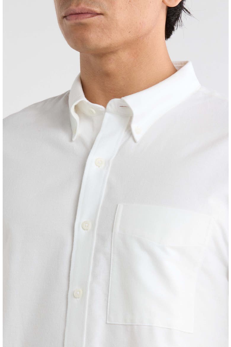 Oxford Long Sleeve Button Down Shirt, Alternate, color, OFF WHITE