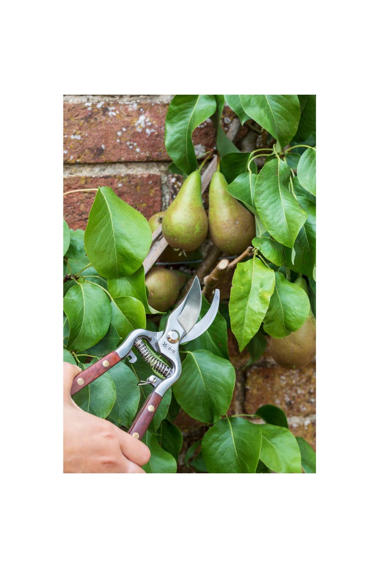 Wood Handle Bypass Pruner & Gift Box, 3/4 in. Cut Capacity, Alternate, color, Stainless Steel