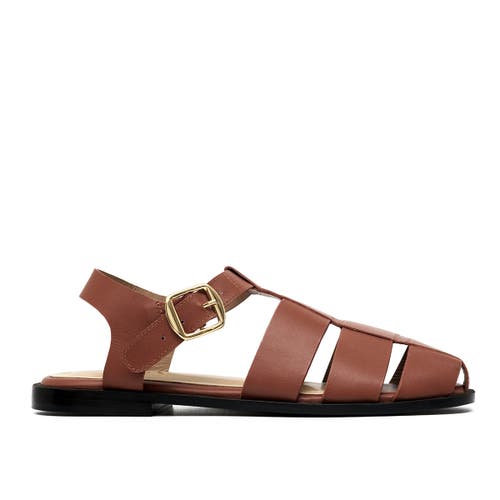 Alta Cecilia Sandals In Brown