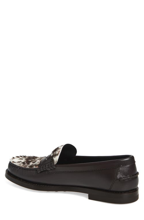 Tod's Mixed Media Loafer In Brown
