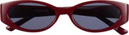 Love Moschino LM101 Small Oval Cat Eye Sunglasses