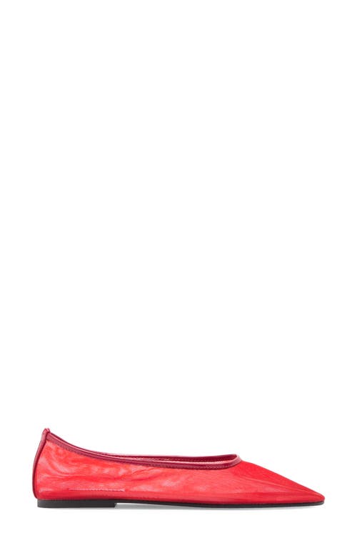 STEVE MADDEN STEVE MADDEN MEADOW FLAT