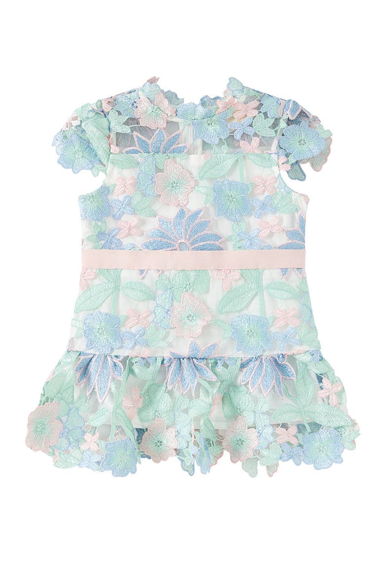 Addison Embroidered Mini Dress, Main, color, Multi