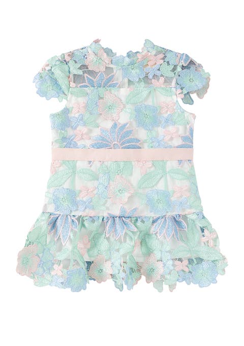 Addison Embroidered Mini Dress