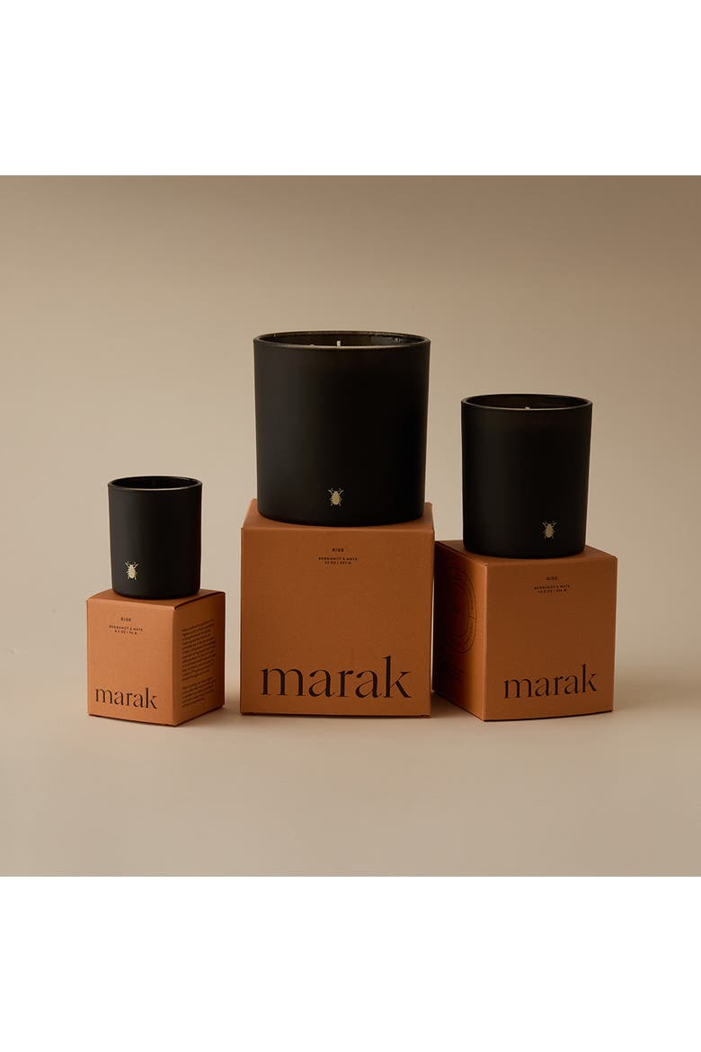 Rise - Bergamot & Mate - 3-Wick 23 Oz / 652 G, Main, color, Standard Packaging