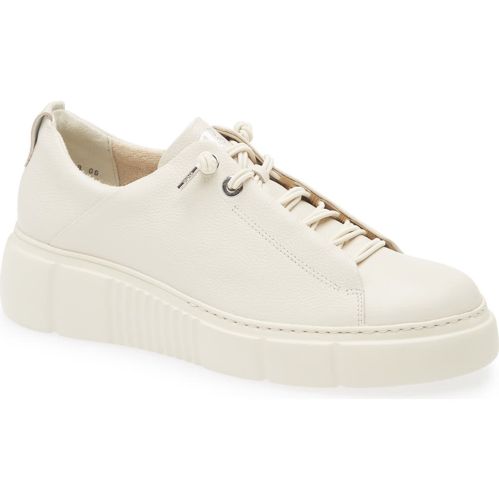 Paul Green Abbey Sneaker In Ivory Leather