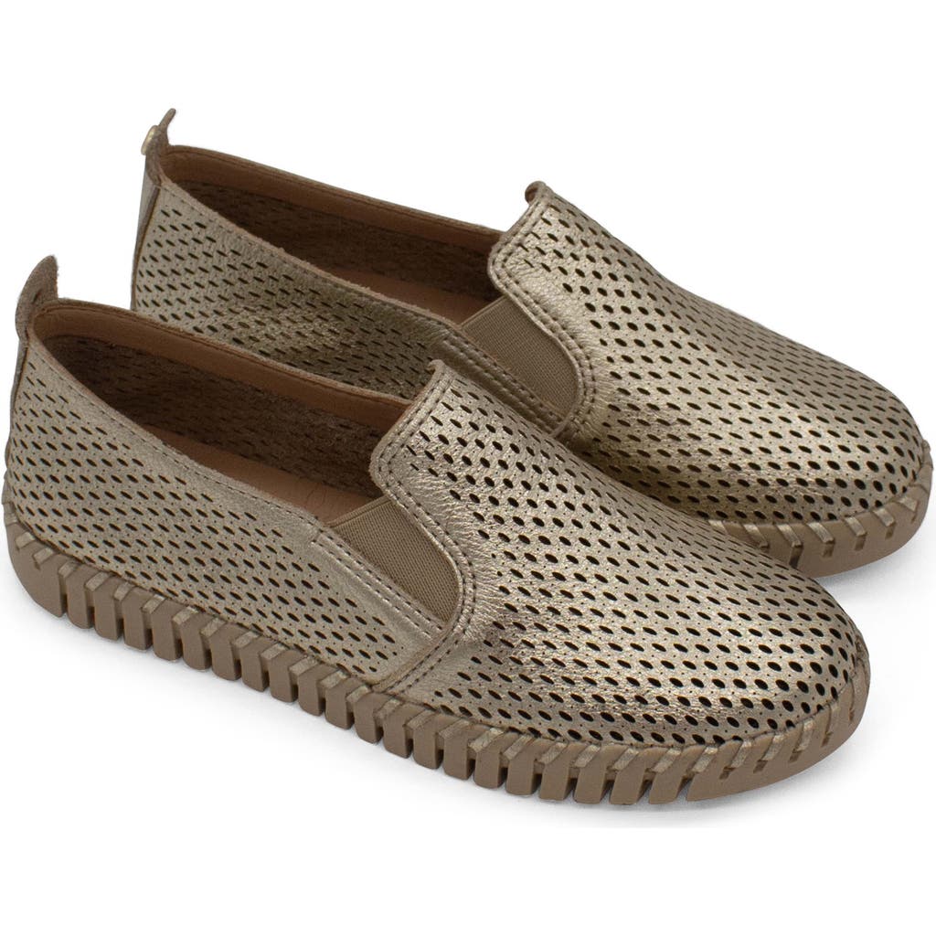 Bottero Bottwister Verao Xxiii Slip-on Sneaker