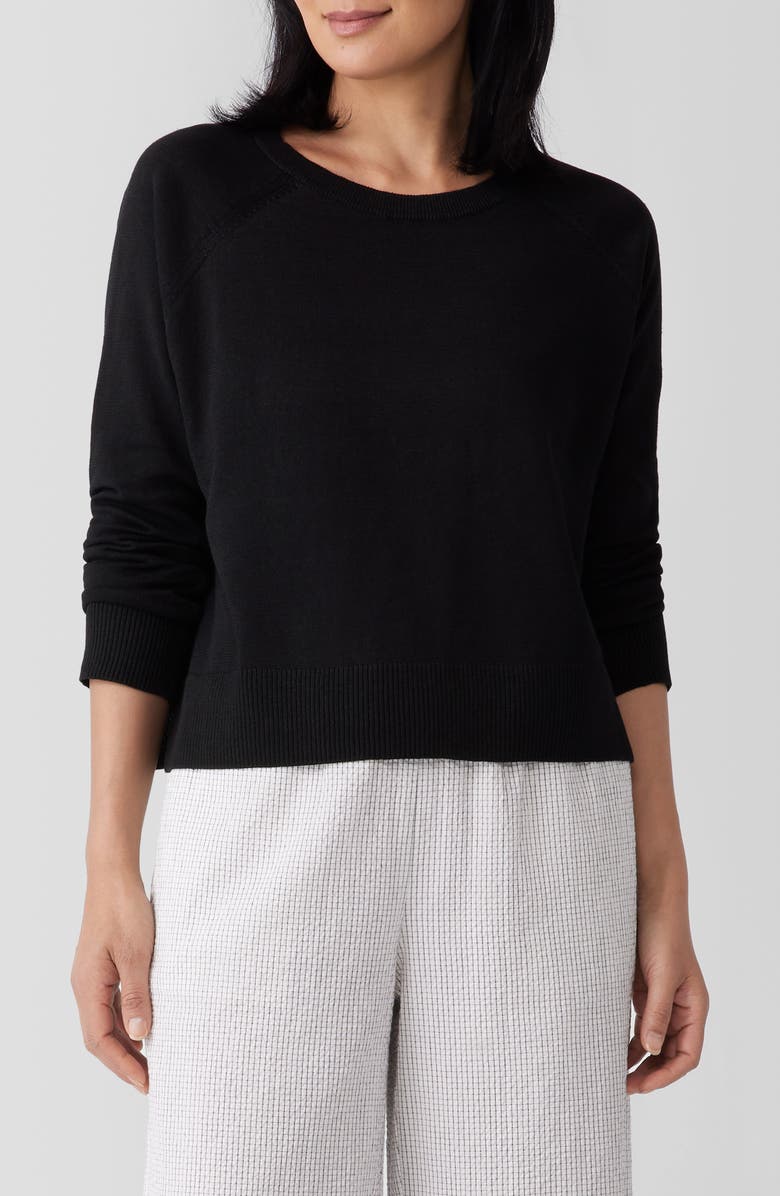 Eileen Fisher Raglan Sleeve Boxy Organic Linen & Organic Cotton Sweater, Main, color, 