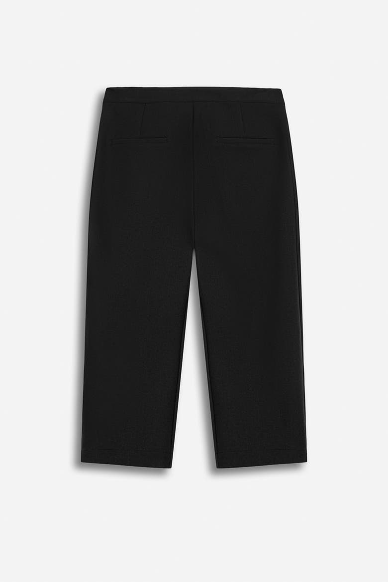 Capri Trousers, Alternate, color, Black