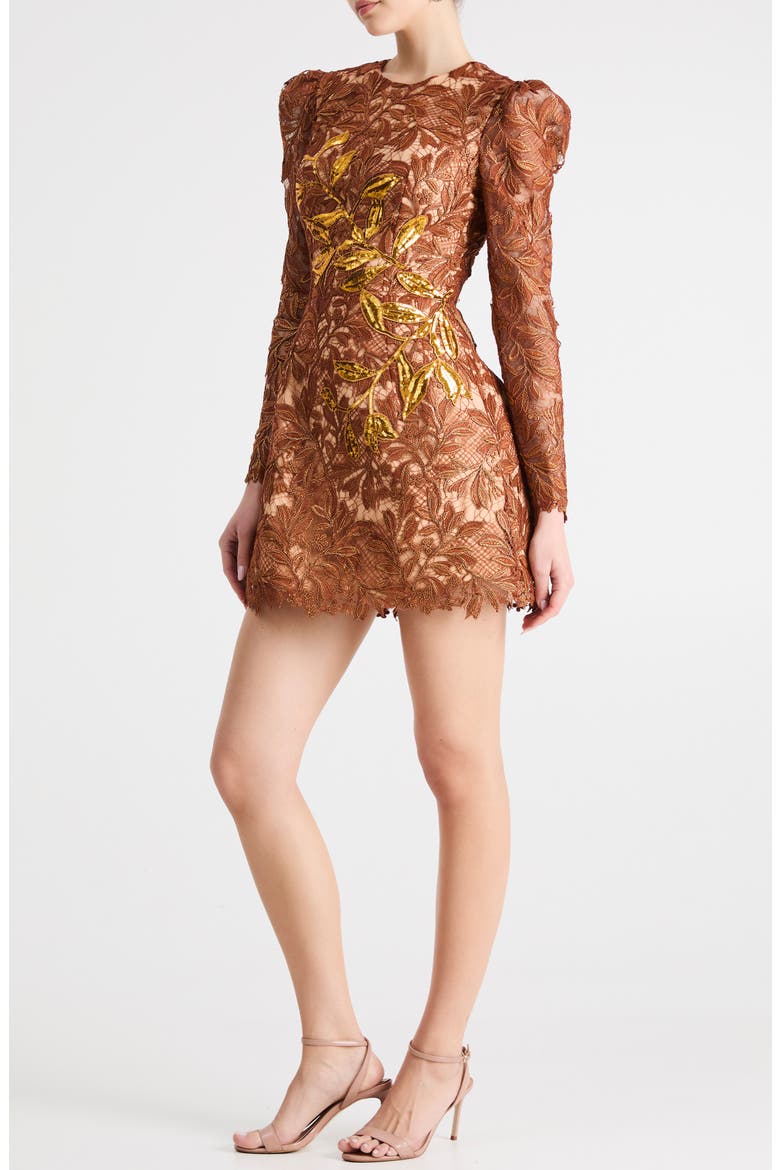 Savannah Embroidered Long Sleeve Minidress, Alternate, color, COPPER
