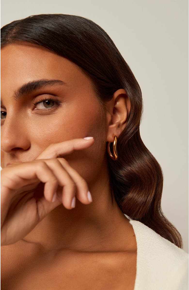 CXC Queen Hoop Earrings, Alternate, color, 