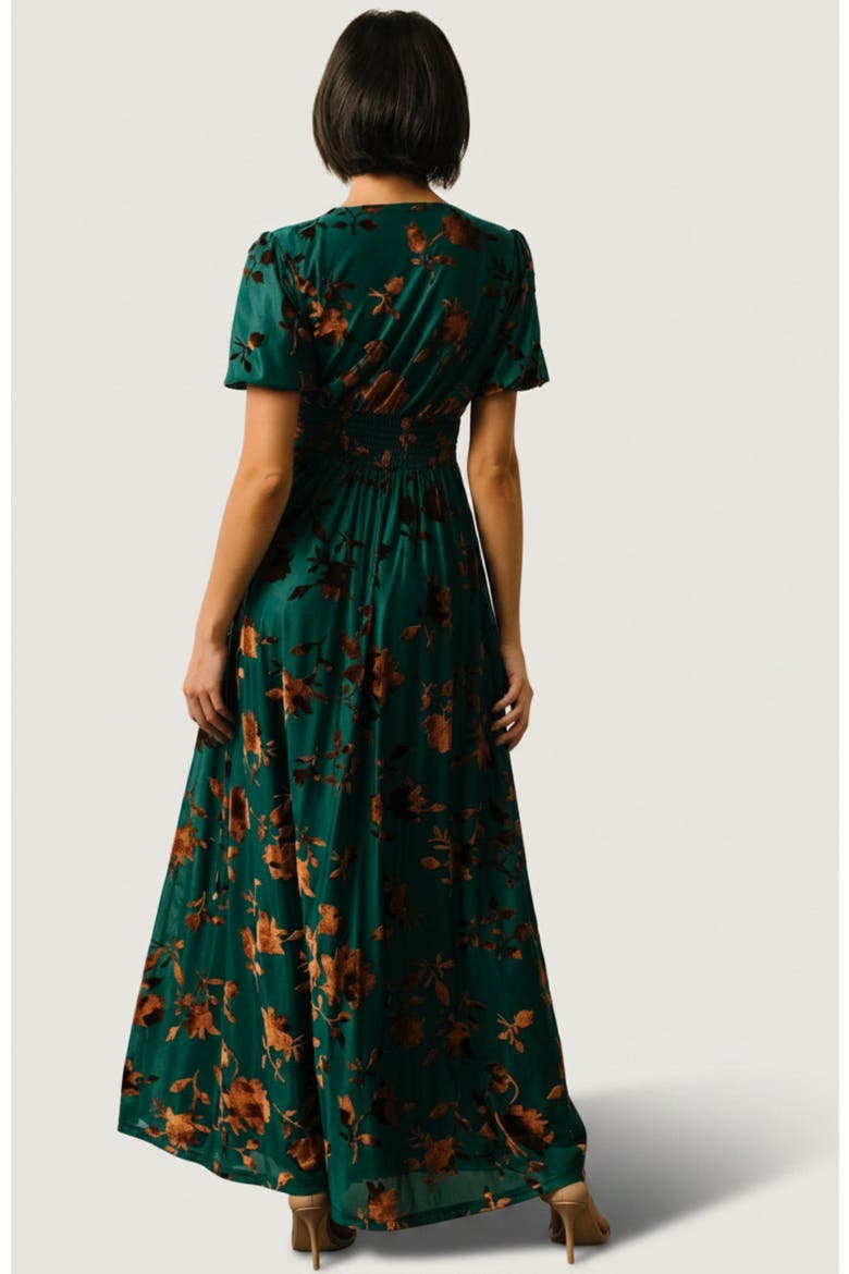 Leslie Velvet Maxi Dress, Alternate, color, Bronze + Jade