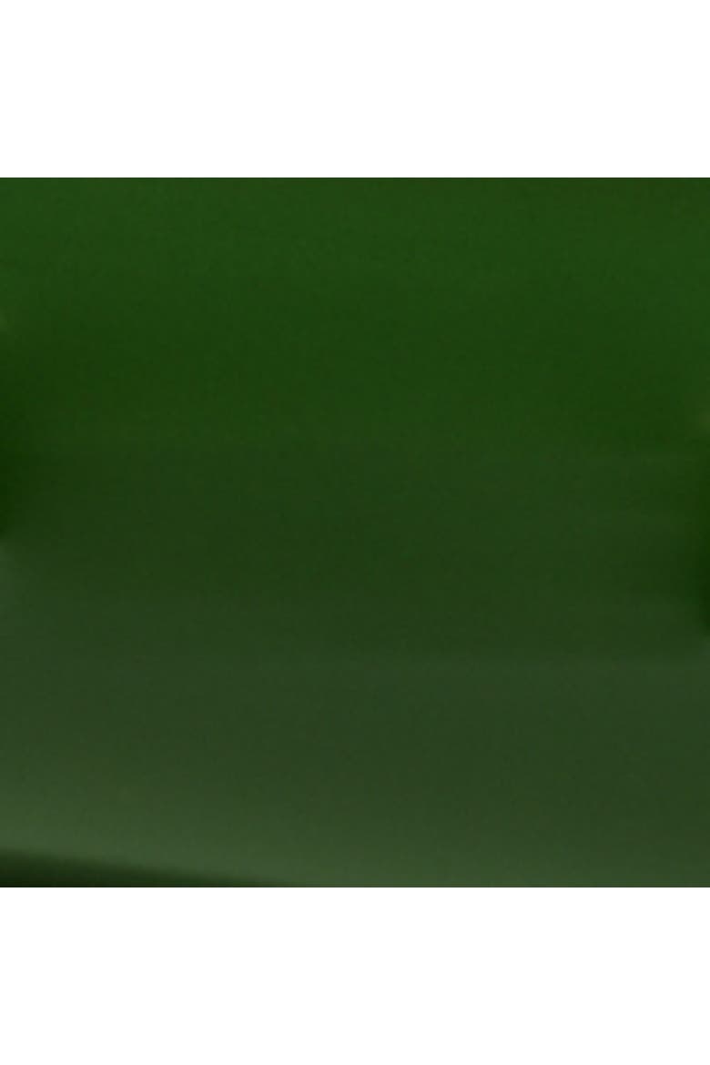Kuduo Pitcher, Alternate, color, Shiny Green