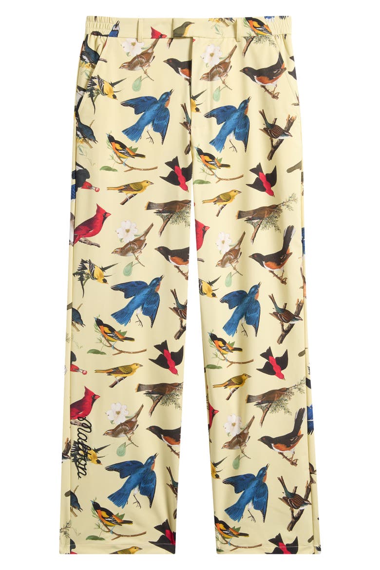 Birds of Georgia Print Magnolia Performance Pants, Alternate, color, BIRD PRINT