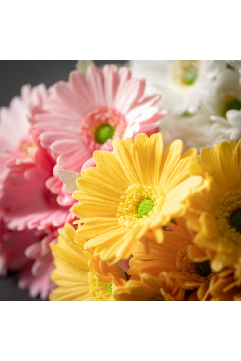 Sullivan's Daisy Bush Set of 3, Multicolor Faux Floral Stem for Crafting, Weddings, Home and Holiday Decoration, 13 Inch, Alternate, color, multicolored