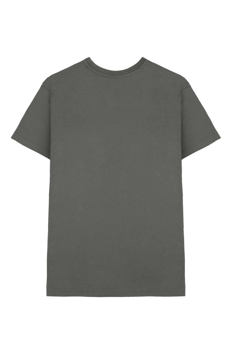 Mens Pigeon Jersey Tee, Alternate, color, Asphalt Gray