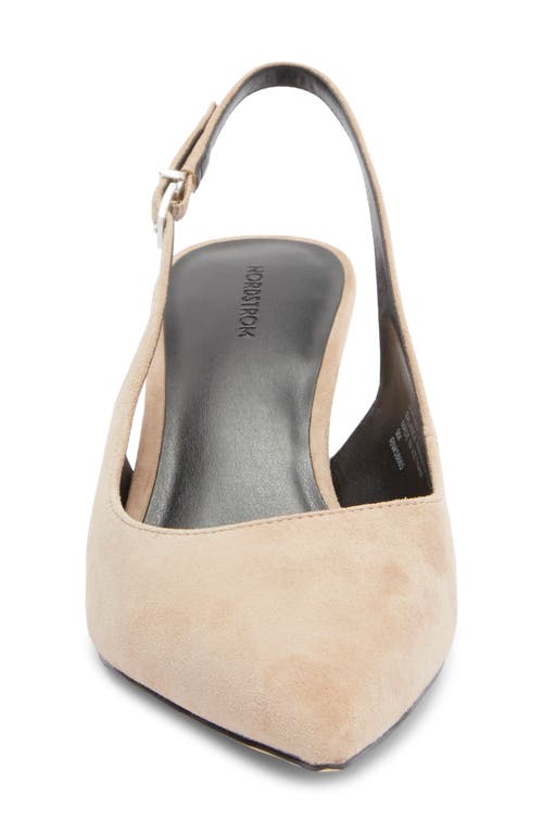Nordstrom Liza Slingback Pointed Toe Pump