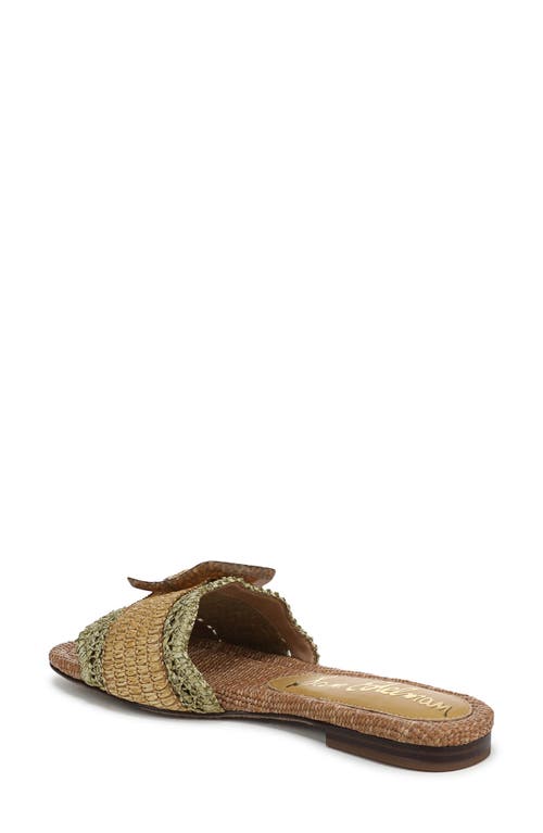 Sam Edelman Bambi Raffia Buckle Slide Sandal In Brown