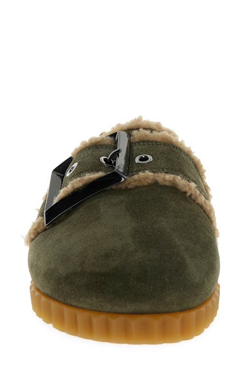 Voile Blanche Fredrik Faux Shearling Mule In Green