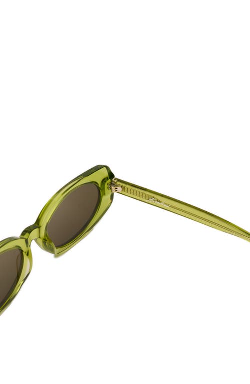 Dezi Booked 52mm Rectangular Sunglasses In Green