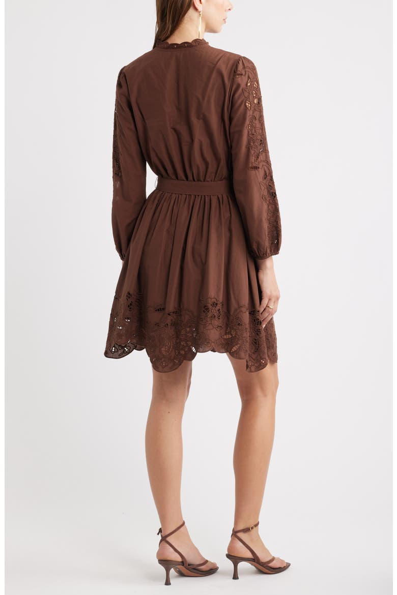 Embroidered Long Sleeve Tie Waist Minidress, Alternate, color, BROWN BITTER