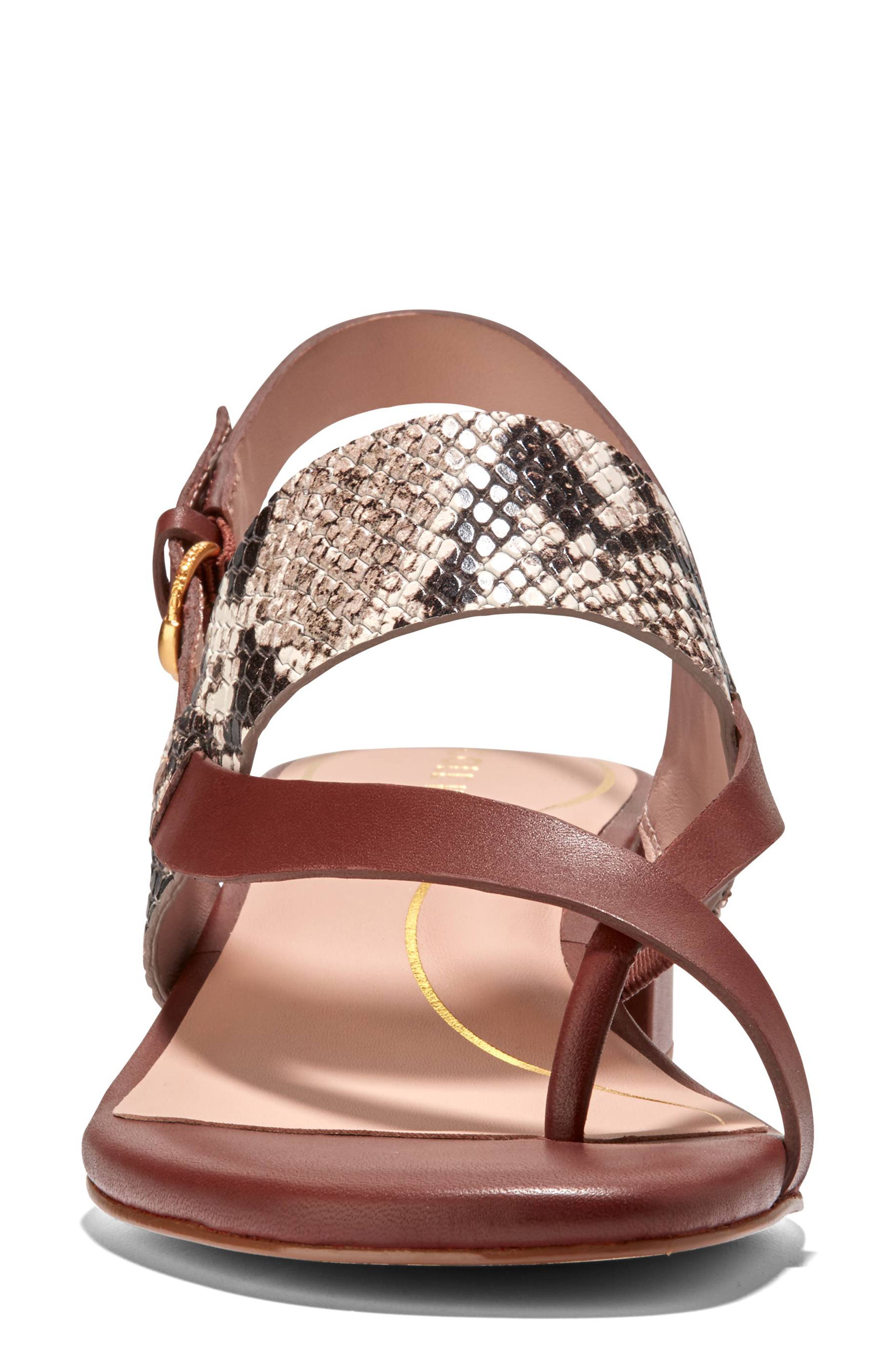 Anica Lux Slingback Sandal, Alternate, color, SANDOLLAR PRINT SOHO