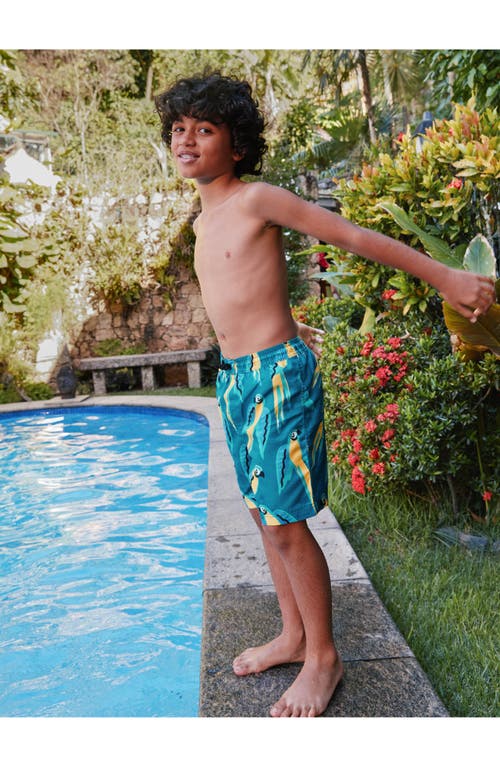Tea Collection Mid-length Swim Trunks 3.0 In Blue & Yellow Macaws