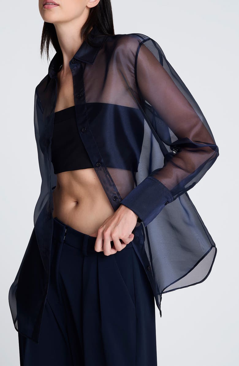 Kenneth Cole Oversize Sheer Organza Button-Up Shirt, Alternate, color,