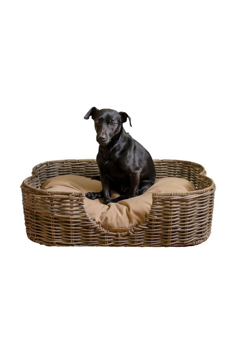 Scallop Tropical Handwoven Rattan Pet Bed with Machine Washable Cushion, Alternate, color, Kubu Gray