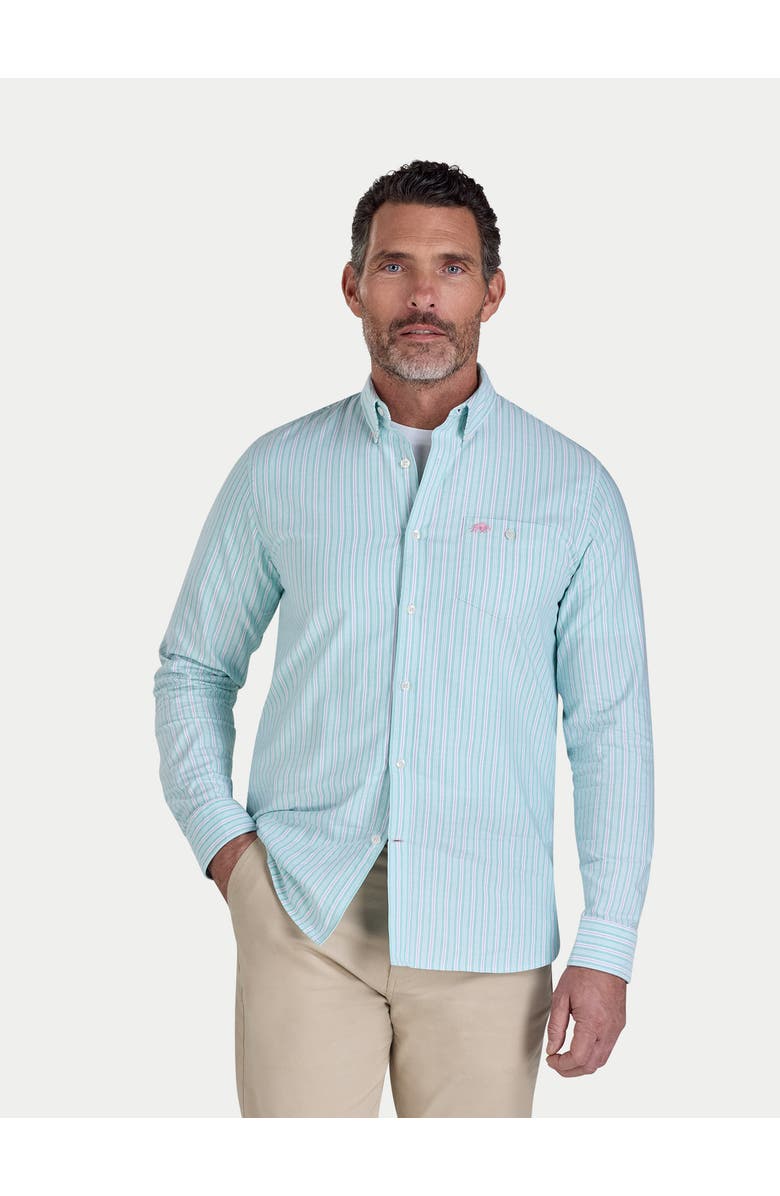 Raging Bull Stanford Long Sleeve Oxford Shirt, Main, color, Green