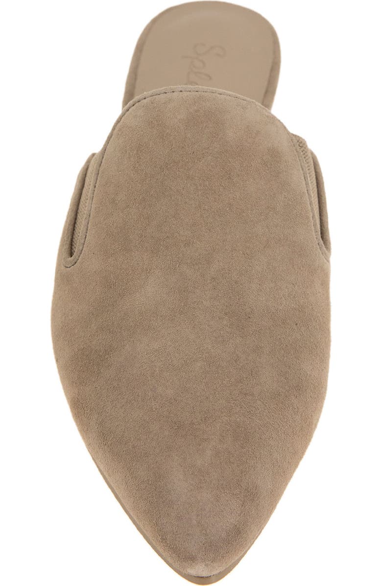 Splendid Lee Mule Loafer, Alternate, color,