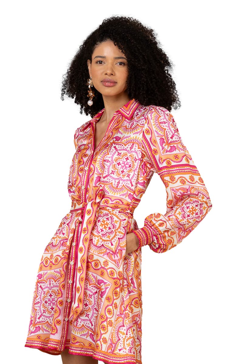 Hale Bob Arlo Silk Dress, Alternate, color,