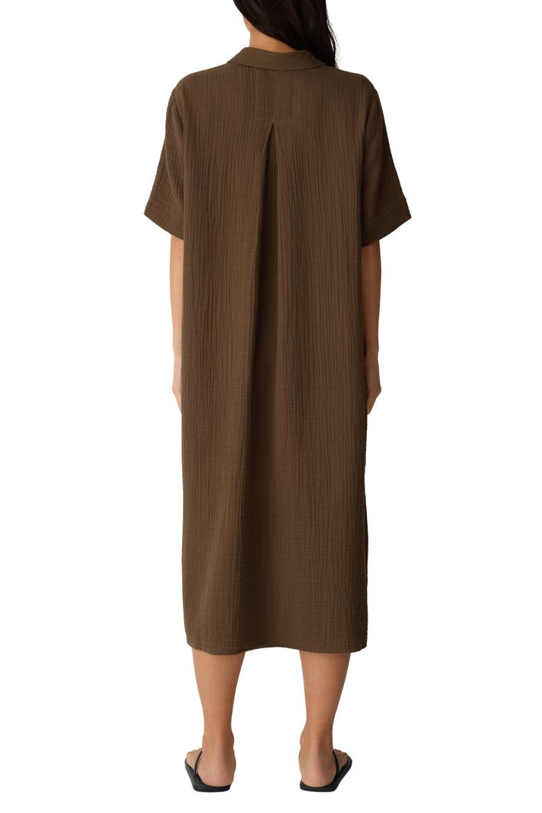 CLASSIC COLLAR C/L SHIRT DRESS W/ SHORT SLVS, Alternate, color, HAZELWOOD