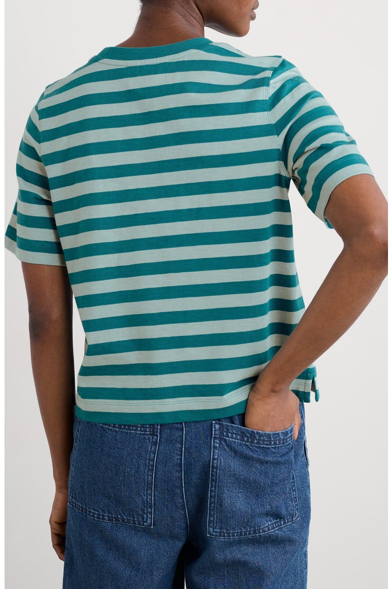 Copseland Stripe Organic Cotton T-Shirt, Alternate, color, SCALLION EMULSION