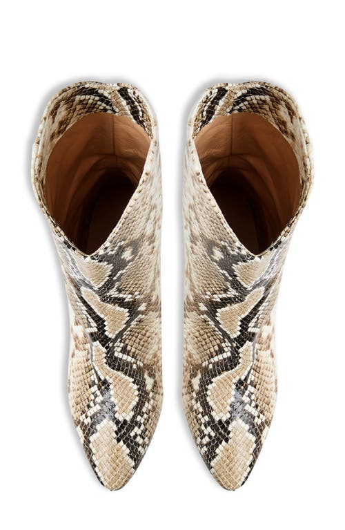 Bruno Magli Mandriana Kitten Heel Bootie In Neutral