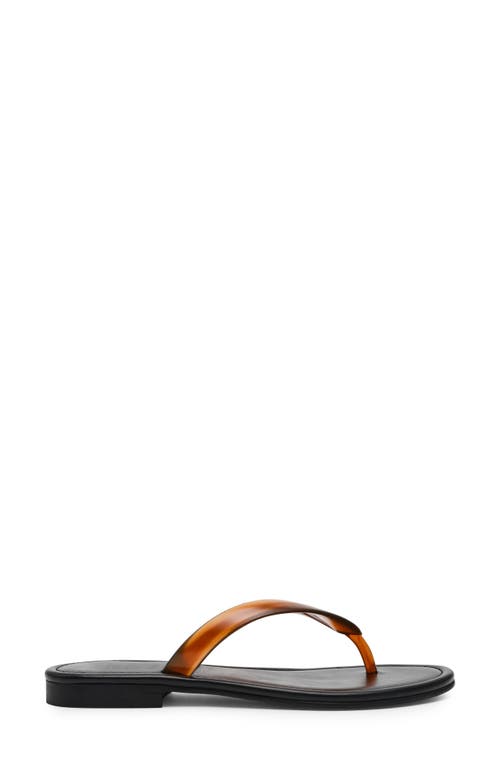 Steve Madden Seasalt Flip Flop In Brown