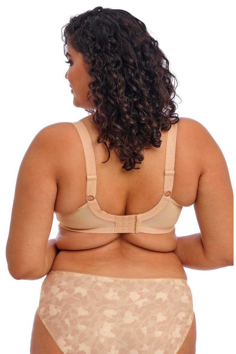 Morgan Full Figure Briefs, Alternate, color, TOASTED ALMOND