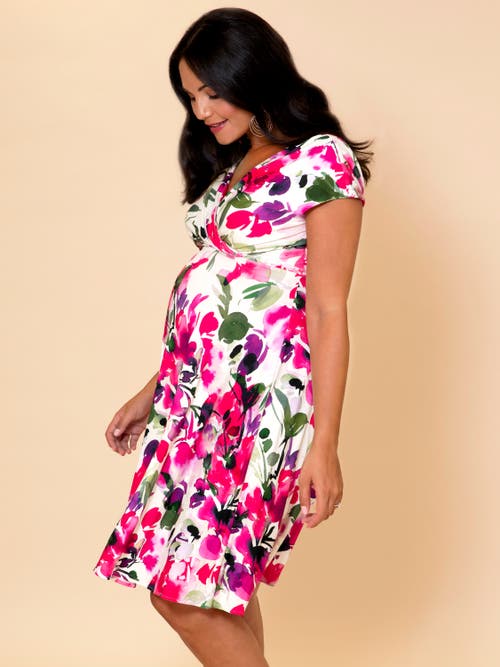 Tiffany Rose Maternity Alessandra Maternity Dress In Multi